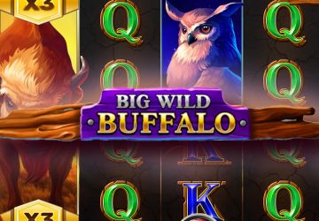 Автомат Big Wild Buffalo в Чемпион казино